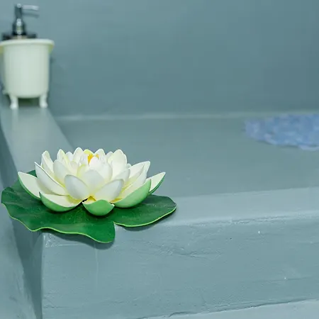 Sotiria's House Casa de Férias